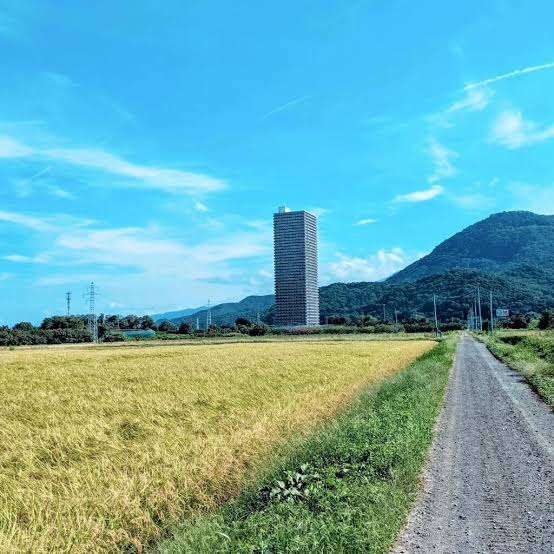 【タワマン論争】ひろゆき氏「タワマンはコンビニに行くのに30分かかる」は本当か？ 住んでいる人に聞いた「それより本当に最悪なこと」とは？ さらに地元民は「マナーの悪い外国人が増えた」と大ブーイング