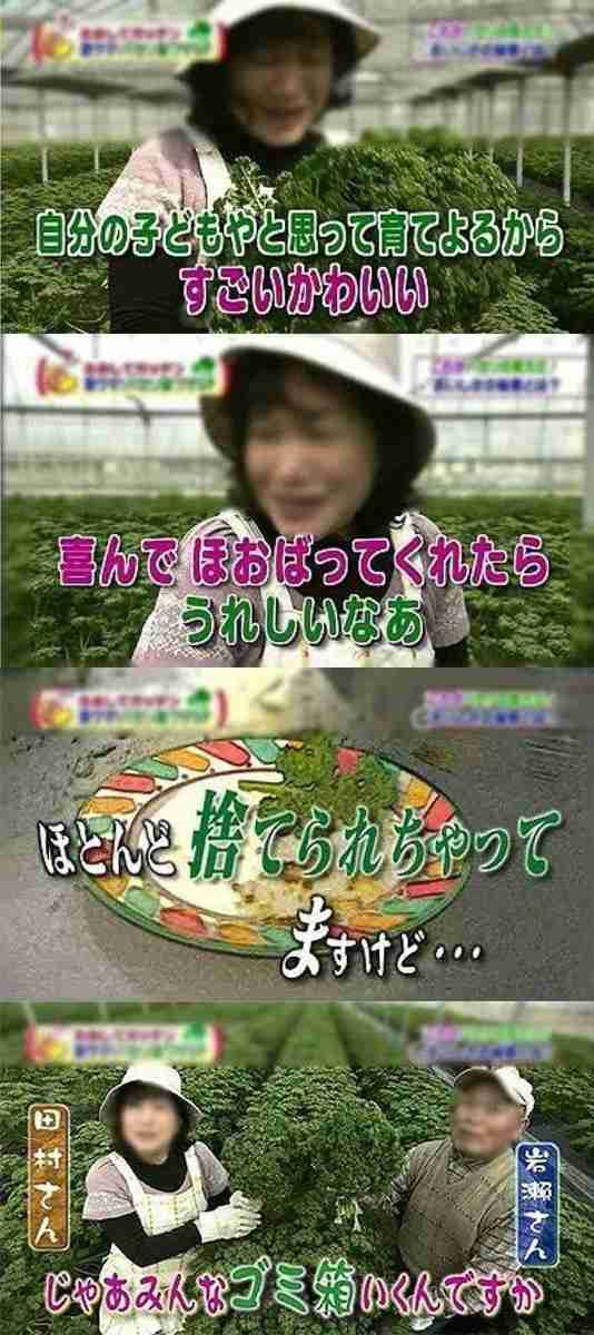 刺身の「つま」食べるのはマナー違反？添えられているのが理に適っている理由とは