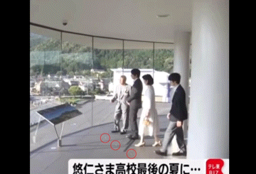 https://up.gc-img.net/post_img/2024/08/GgHfA6nTrOlwBPc_2s7Jb_645.gif