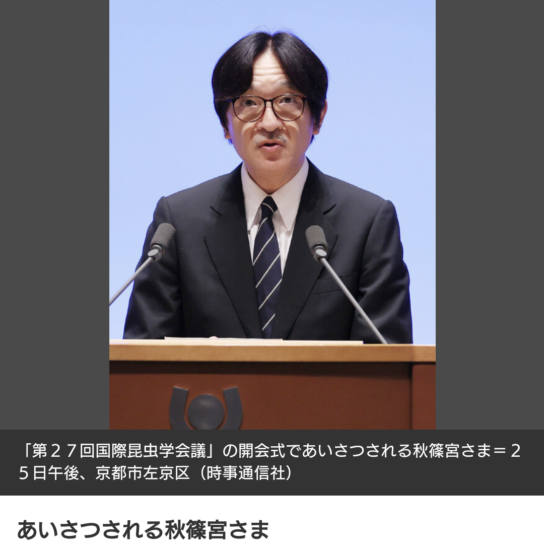 https://up.gc-img.net/post_img/2024/08/GgHfA6nTrOlwBPc_gHJhK_12416.png