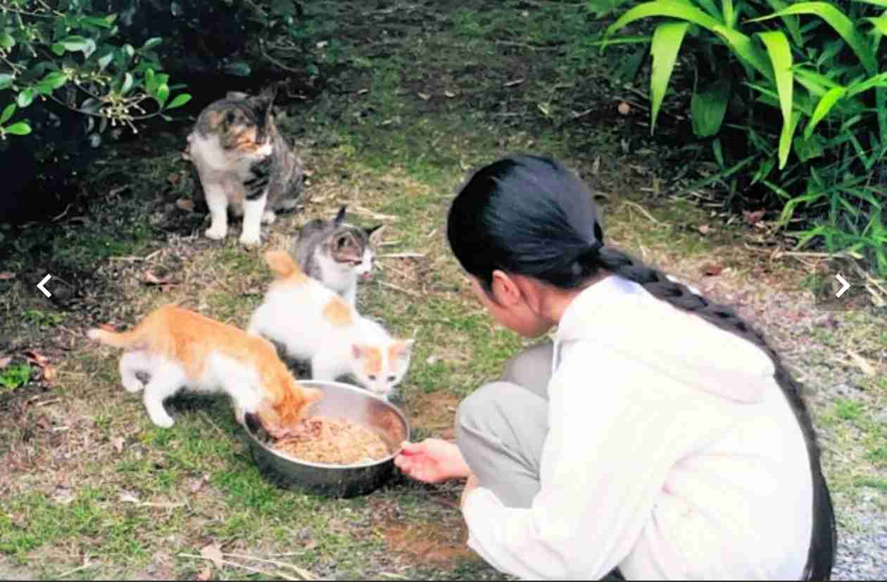 反面教師