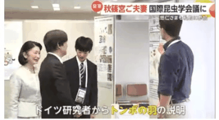 反面教師