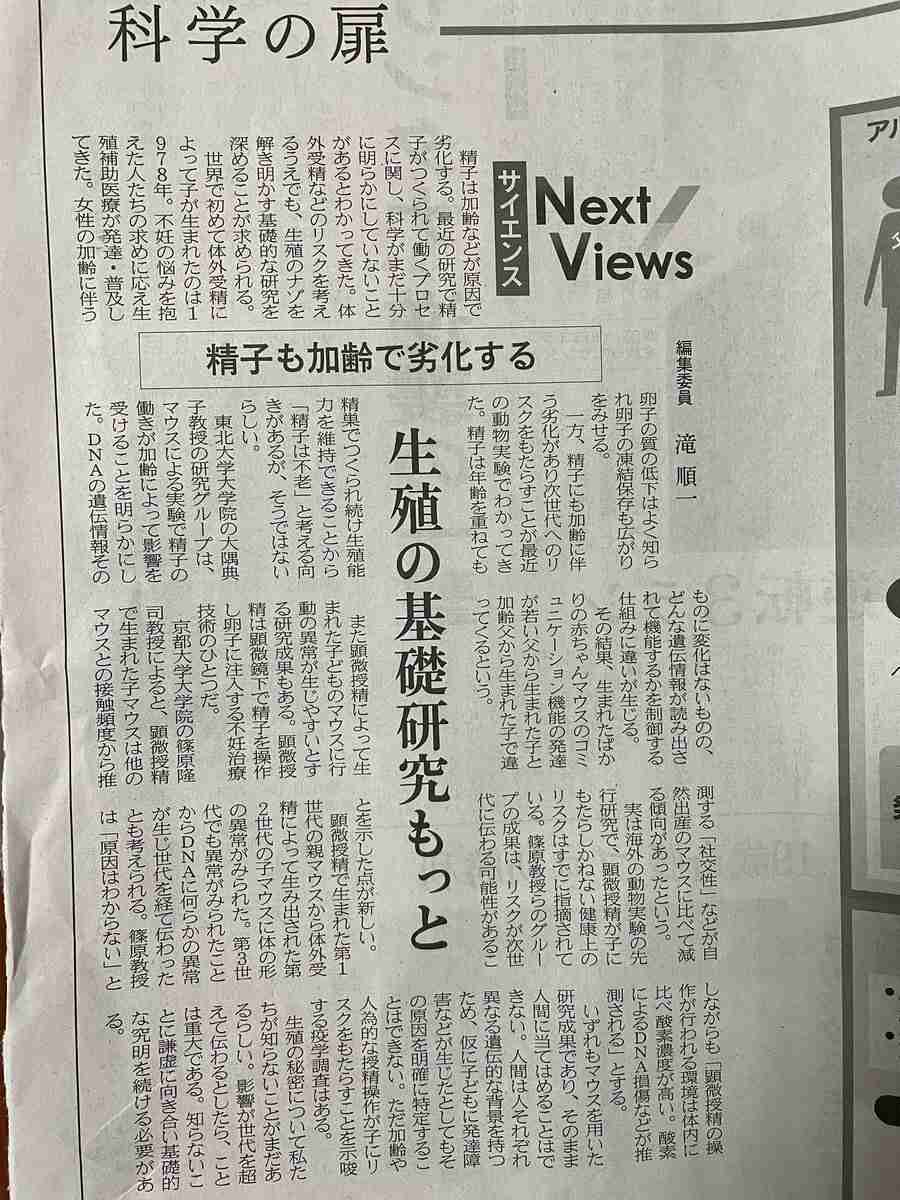 軽度知的障害の方いらっしゃいますか？