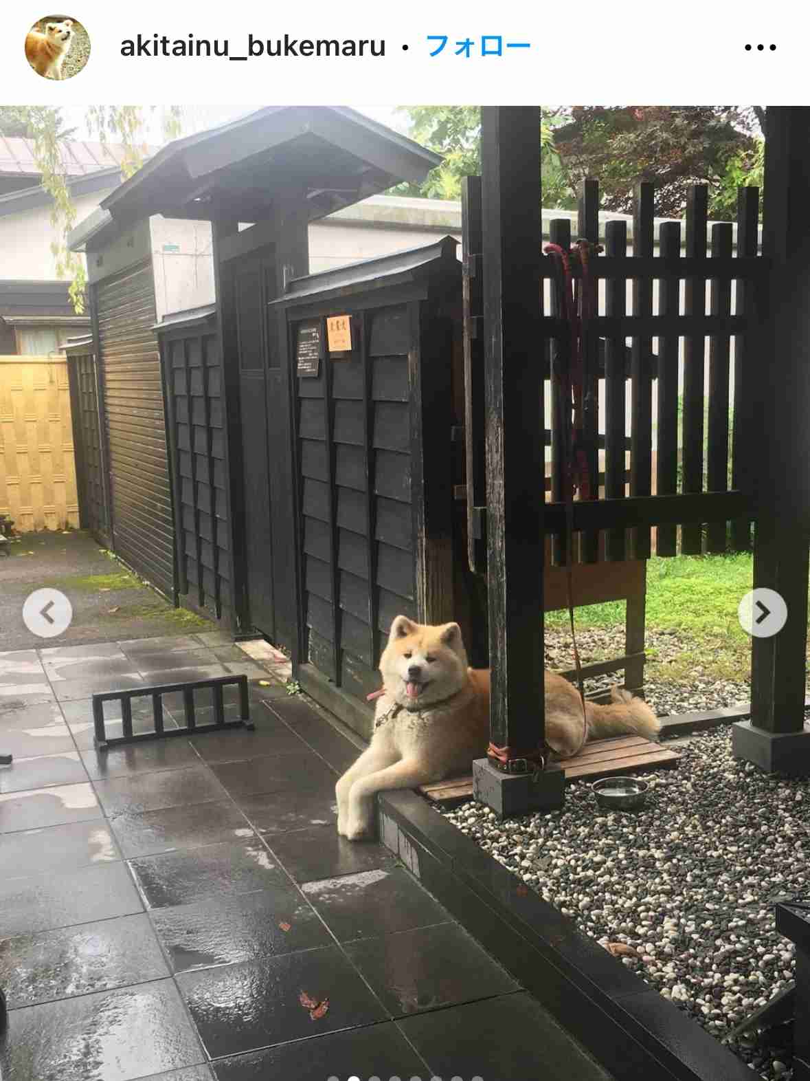 秋田県のオススメ