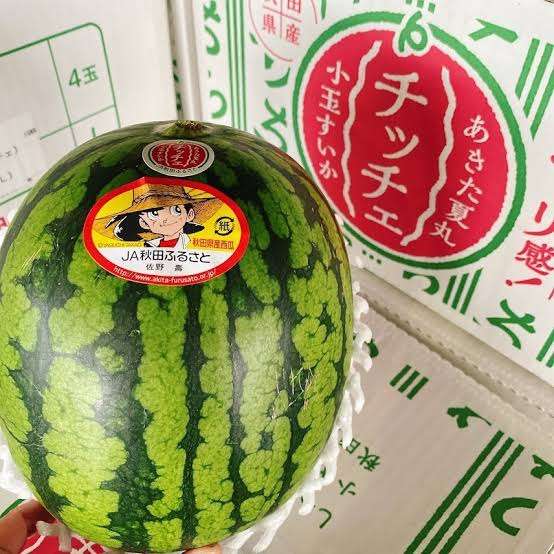 秋田県のオススメ