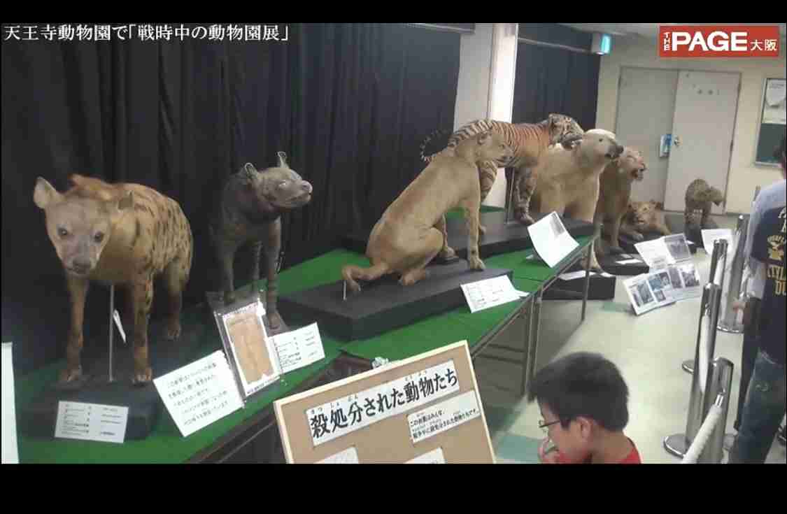 がれきに挟まれた母は「逃げなさい」と厳しい口調で言った…今も忘れられない原爆の体験を若者たちに伝え続ける女性