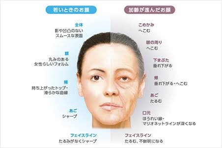 加齢による見た目の劣化、何歳から気になり始めた？