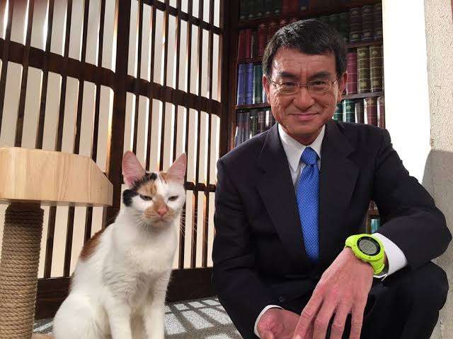 次の自民党総裁 石破氏29%、小泉氏16% 毎日新聞世論調査