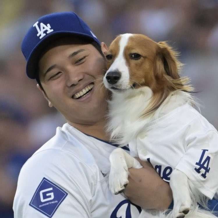 大谷翔平、MLB史上初「43本塁打－43盗塁」の快挙！2回に死球から盗塁決め“同日達成” 43号ソロでオズーナと6本差に