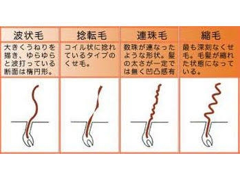枝毛·縮れ毛自慢選手権　Part6