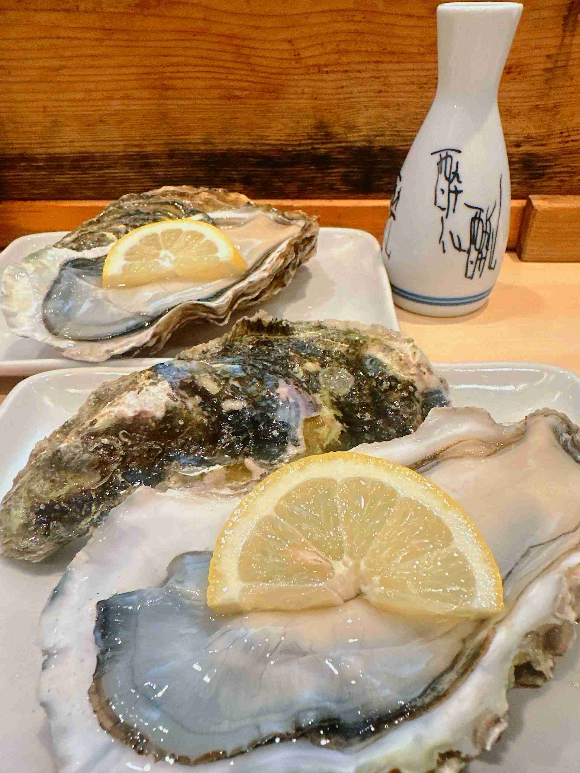 携帯に保存してある居酒屋メニューの画像見せて下さい!part5