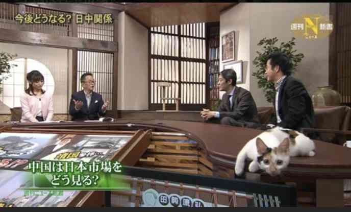 色んな写り込みの画像を貼るトピ