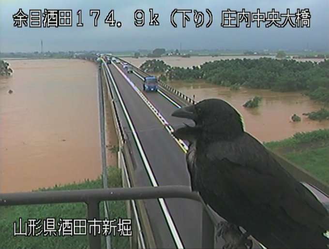 色んな写り込みの画像を貼るトピ