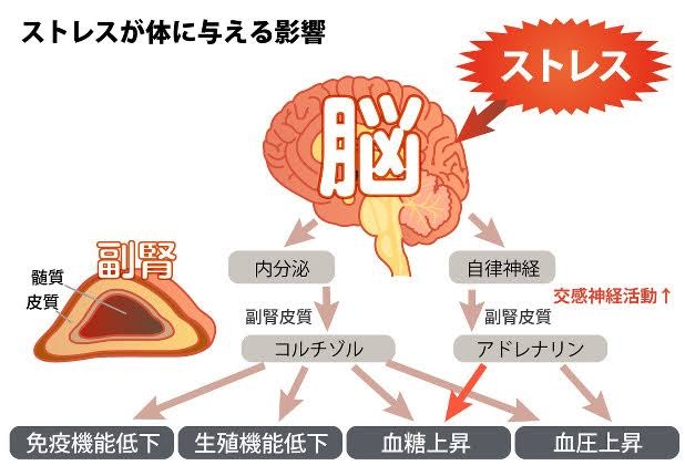 寝不足になると出る症状