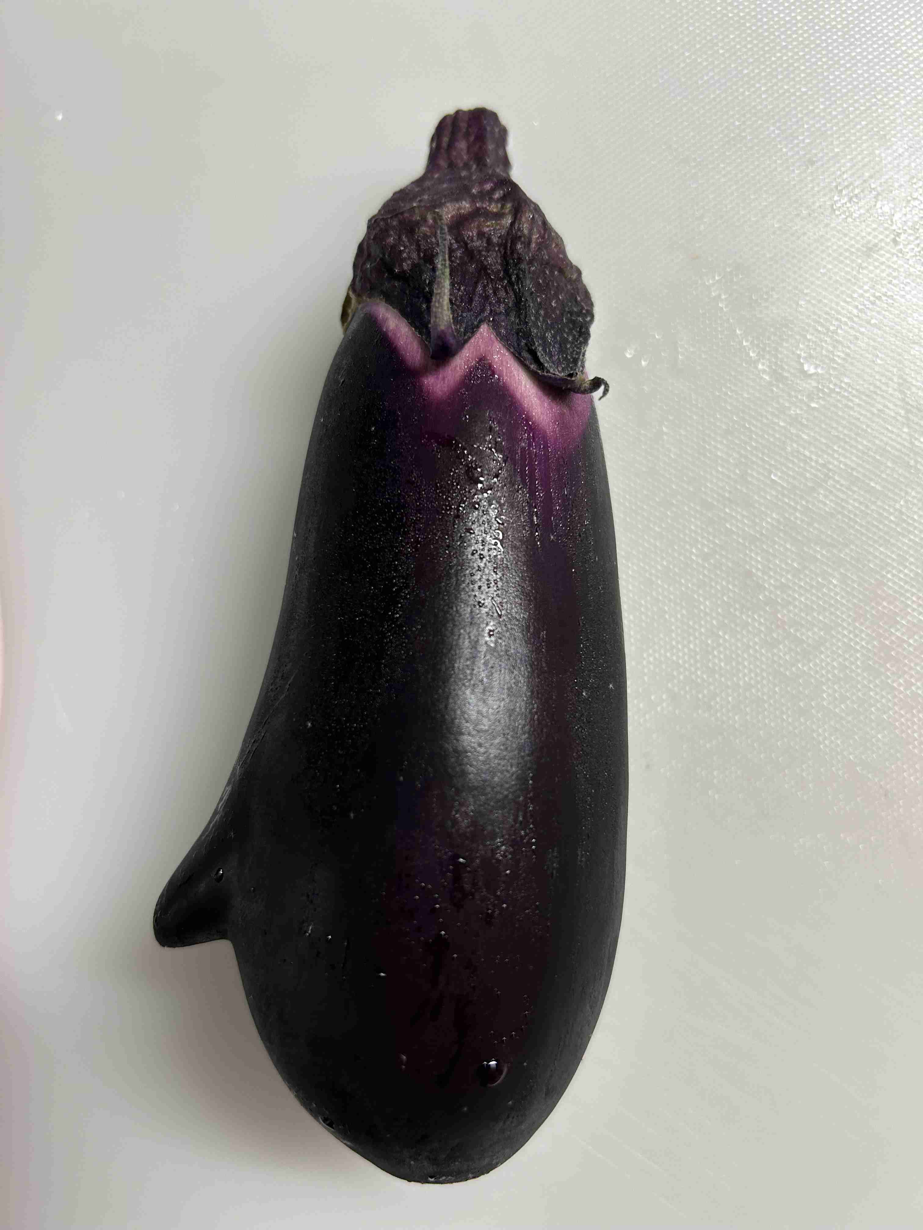 人間じゃないけど人間みたいな画像トピ