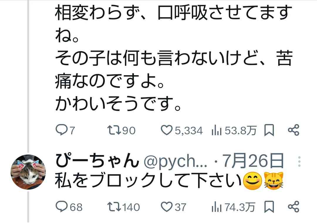 「ひどすぎる」炎天下の駐車場“冷房なし”でネコを車内放置 飼い主に怒りの声「飼う資格なし」