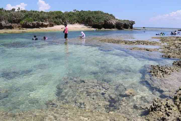 シュノーケルを始めて5分で意識不明・心肺停止　親族らが引き上げるも74歳の男性死亡　
