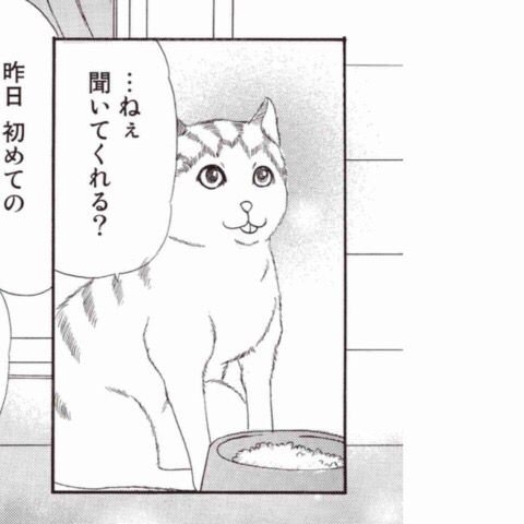 猫だって悲しい。共に暮らしていた仲間の犬や猫が死ぬと、悲しみの行動をとることが明らかに