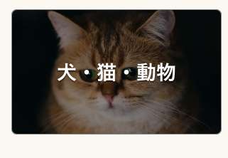 猫だって悲しい。共に暮らしていた仲間の犬や猫が死ぬと、悲しみの行動をとることが明らかに