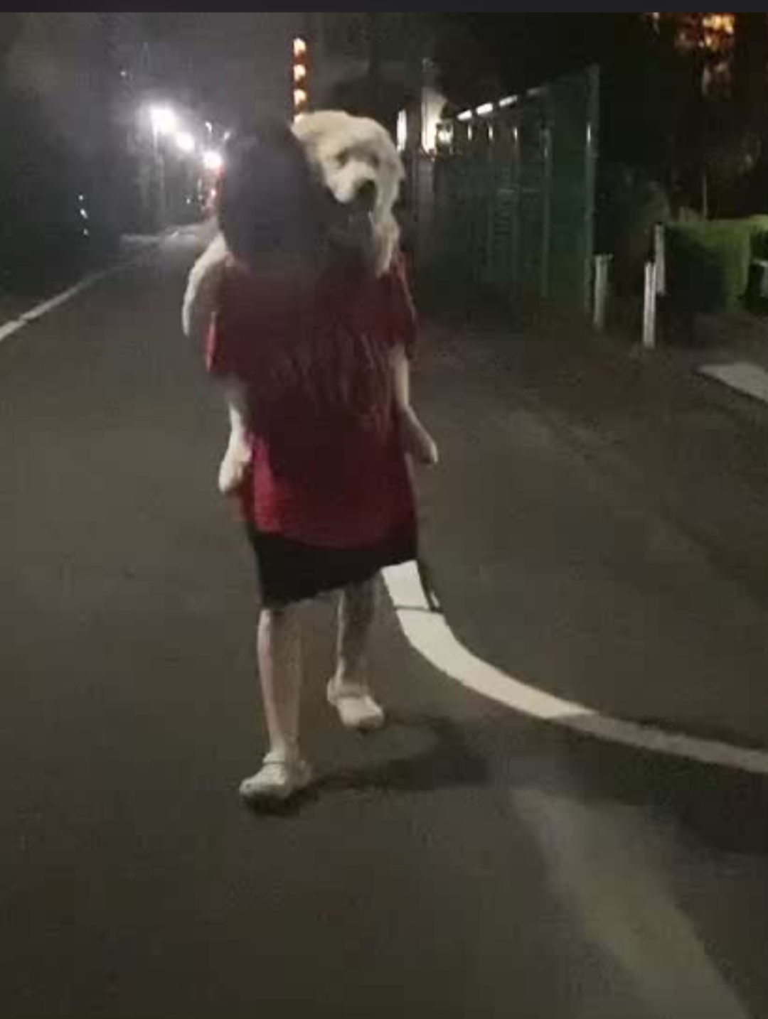 47kgの超大型犬が路上で散歩拒否、飼い主さんとの攻防戦が238万回再生 ストライキする意外な事実が判明