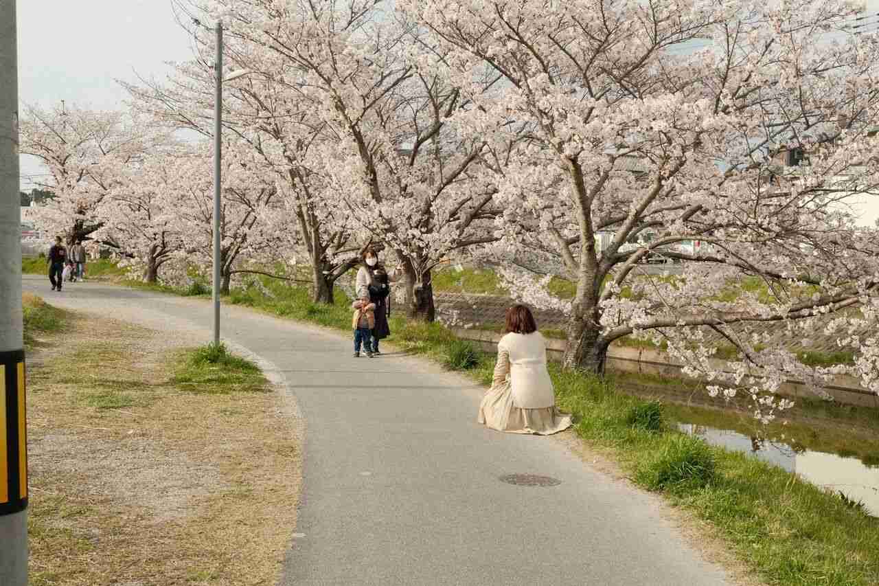 思わず二度見した画像トピ