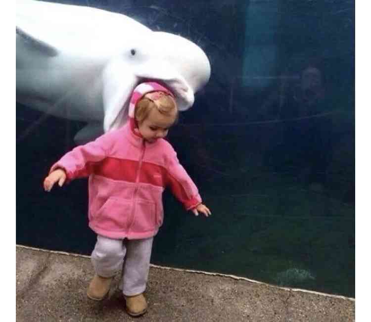 思わず二度見した画像トピ