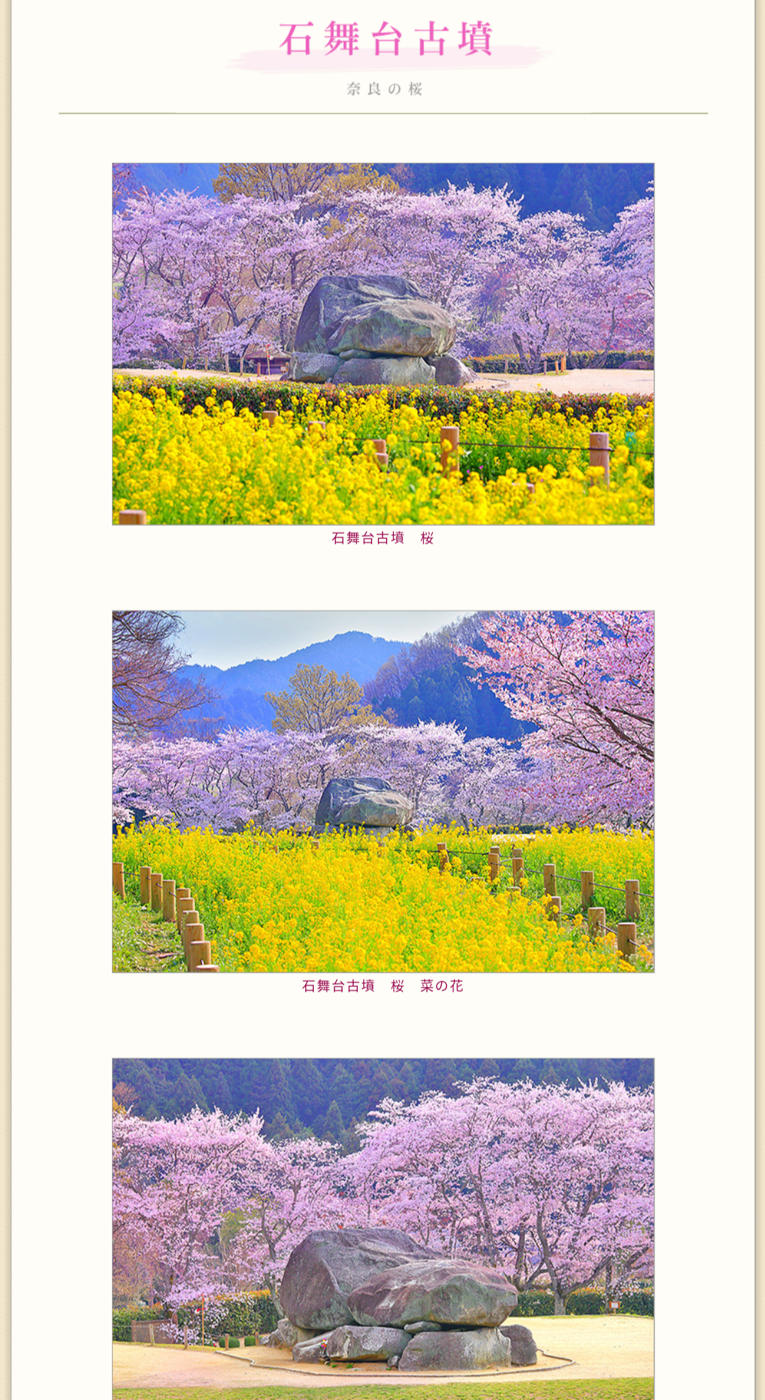 奈良の魅力教えて！