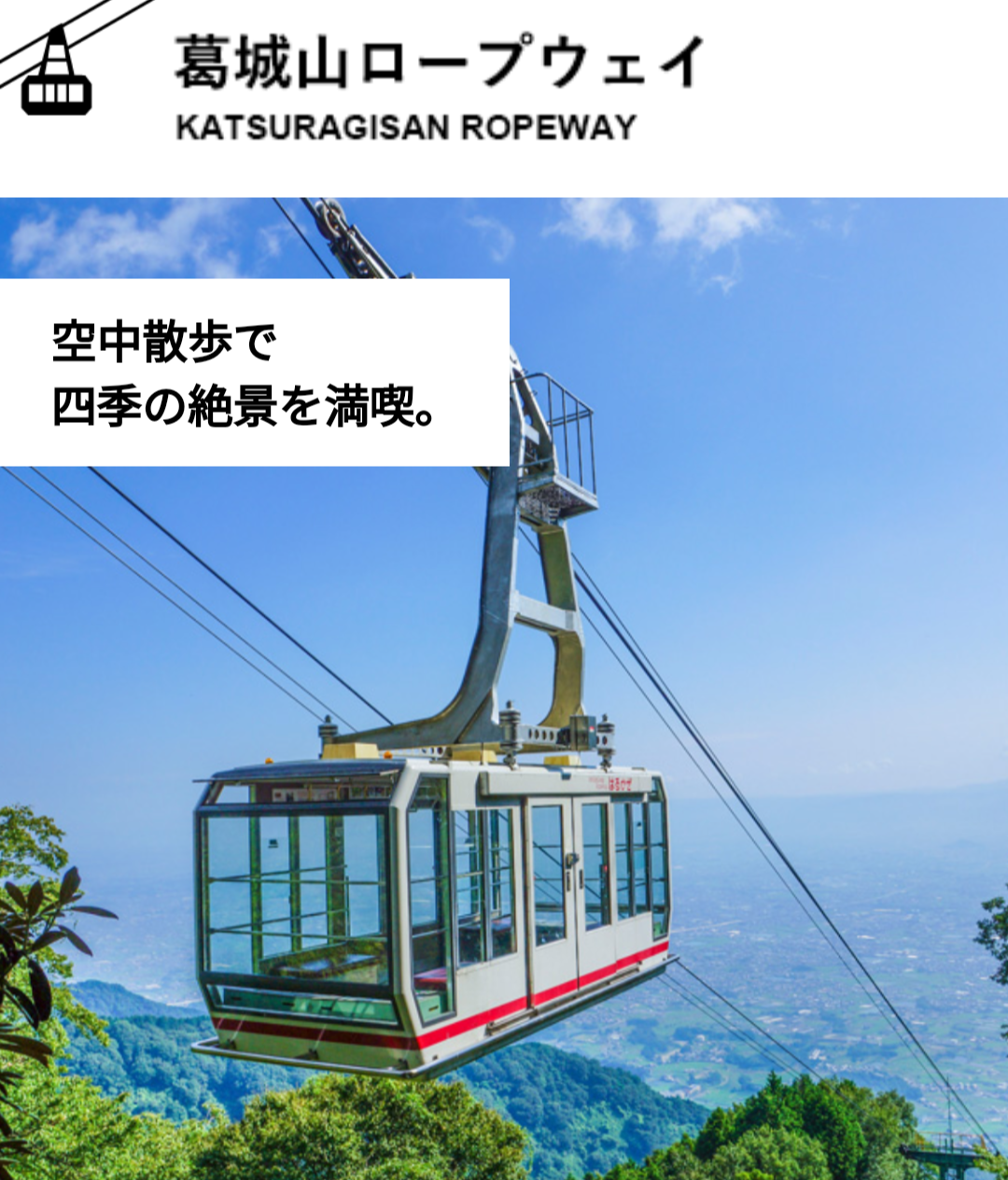 奈良の魅力教えて！