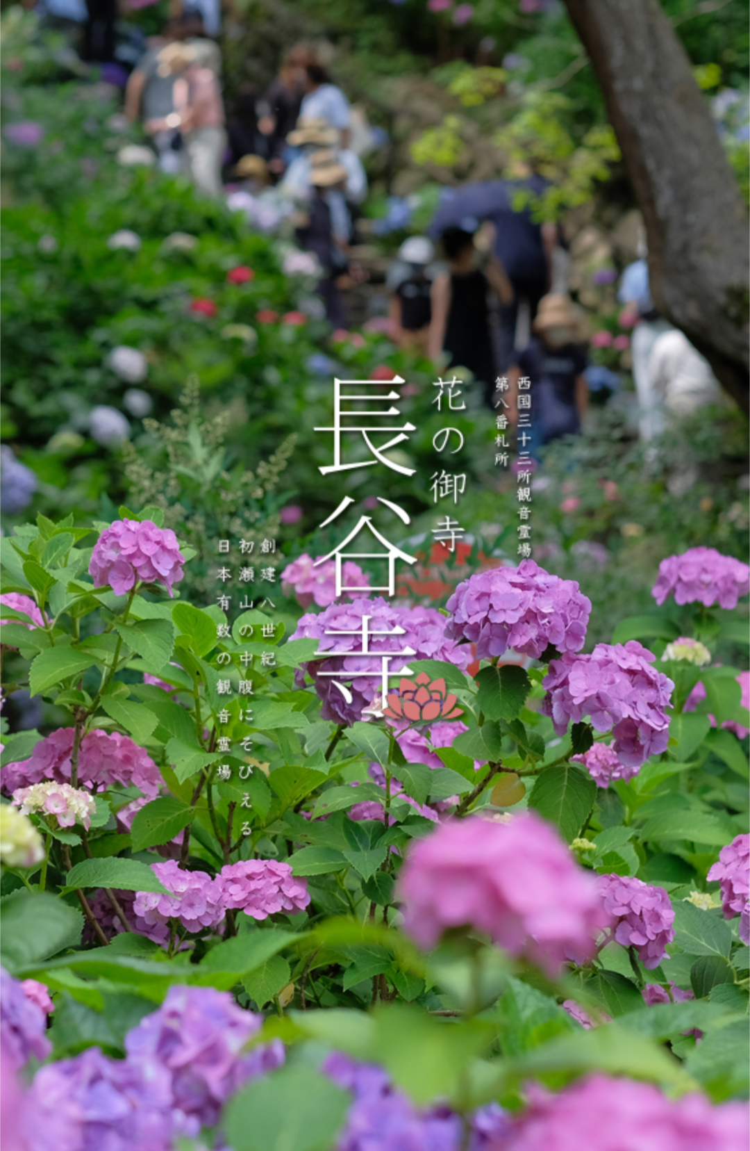 奈良の魅力教えて！