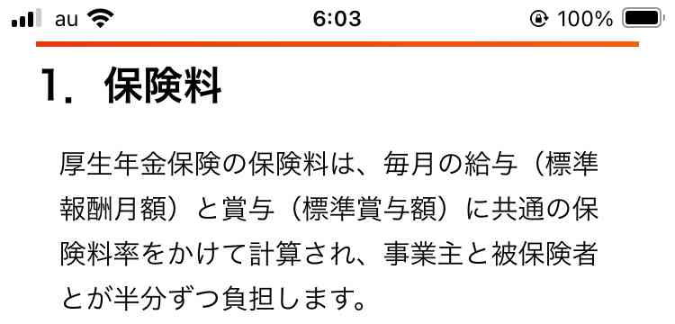 基礎年金の目減り防止策、本格検討へ　厚生年金の積立金活用案が有力