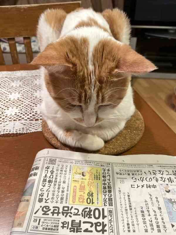 〈脇肉〉目指せ!背中のダイエット〈肩肉〉