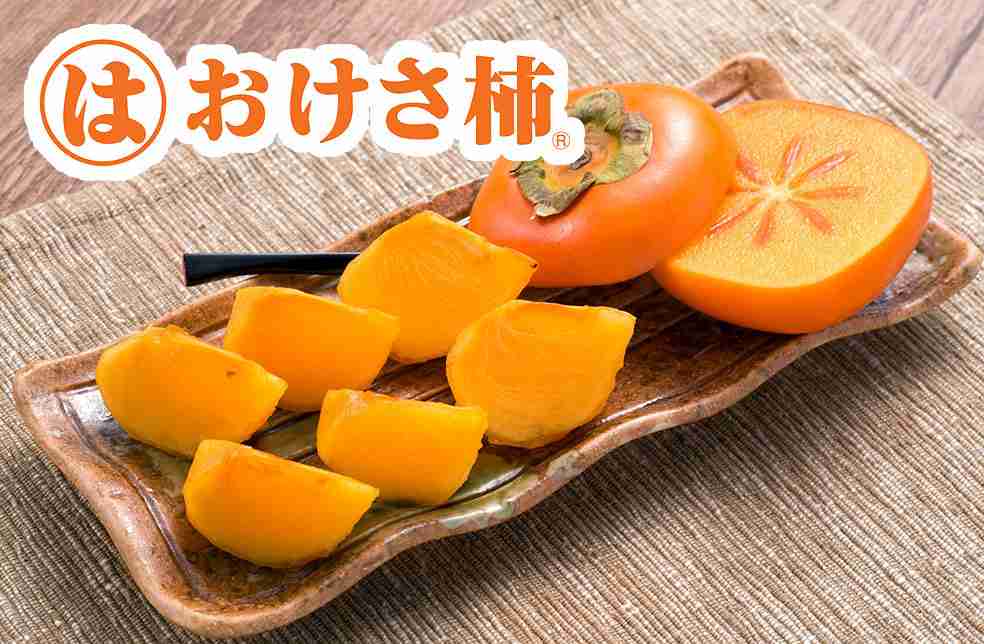 【1人旅行】佐渡島に旅行します。