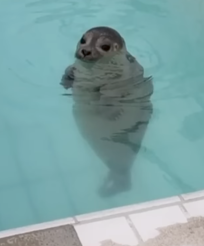 お茶全般を語ろう