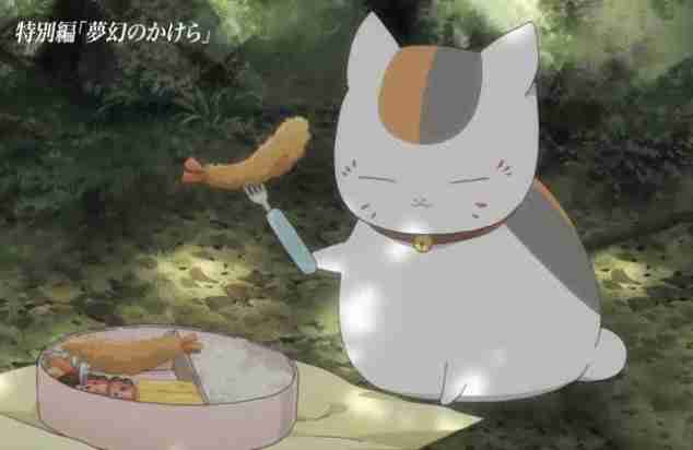 夏目友人帳好きな人!