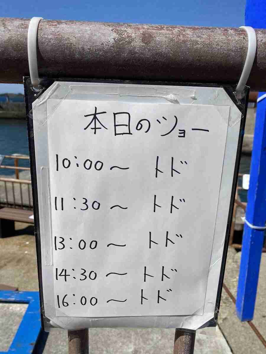 クスッと笑える画像が見たい