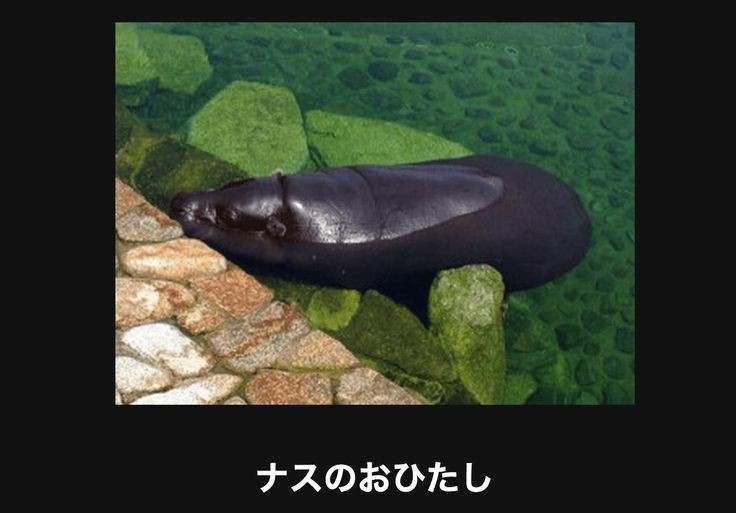 クスッと笑える画像が見たい