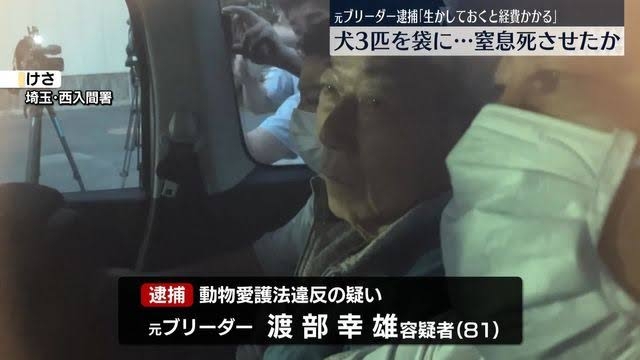「金がかかるからエサをあげなかった」 小型犬にエサや水あげない虐待行為で衰弱させる 元ブリーダーの男性(81)とその娘(40)を書類送検 埼玉県警