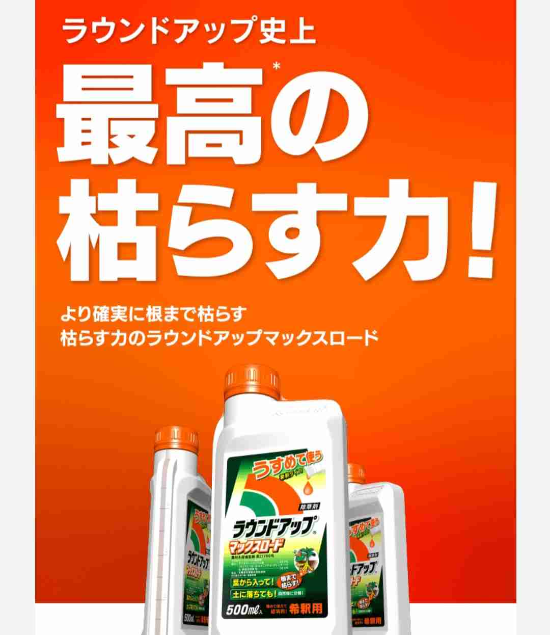 隣の家の雑草に困っています