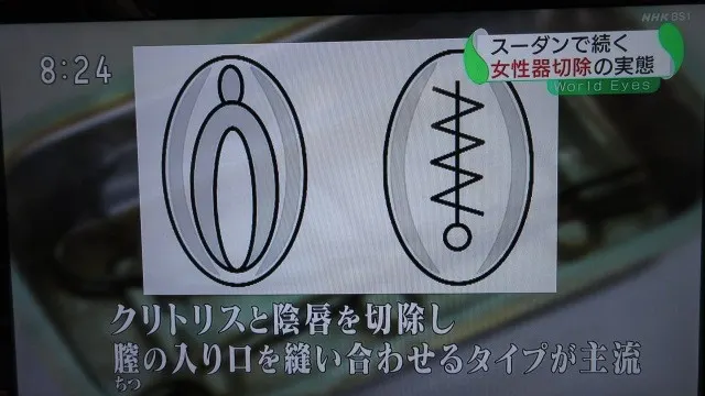 港区で中年たちがスパイク行為か 女性に抵抗できぬ状態にし不同意性交