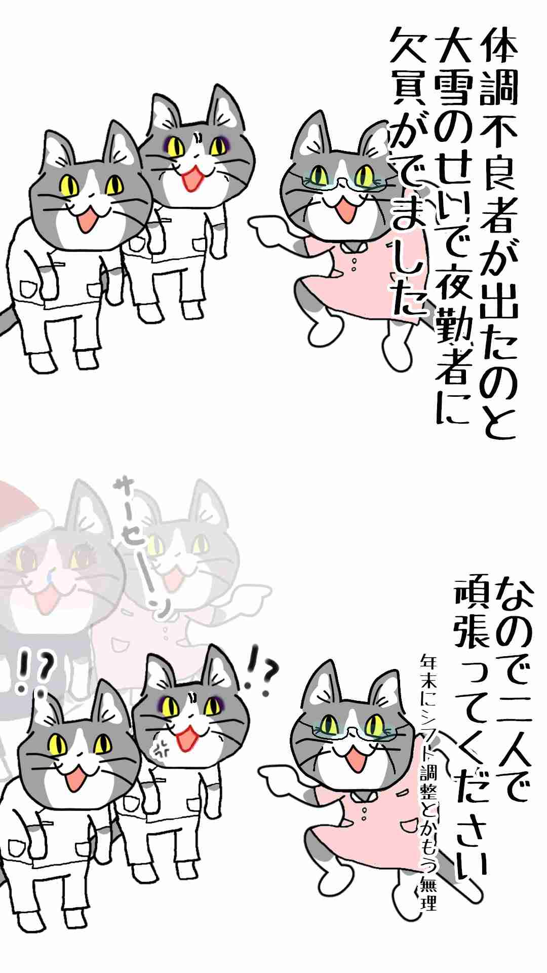 現場猫を見て癒されたい!Part6
