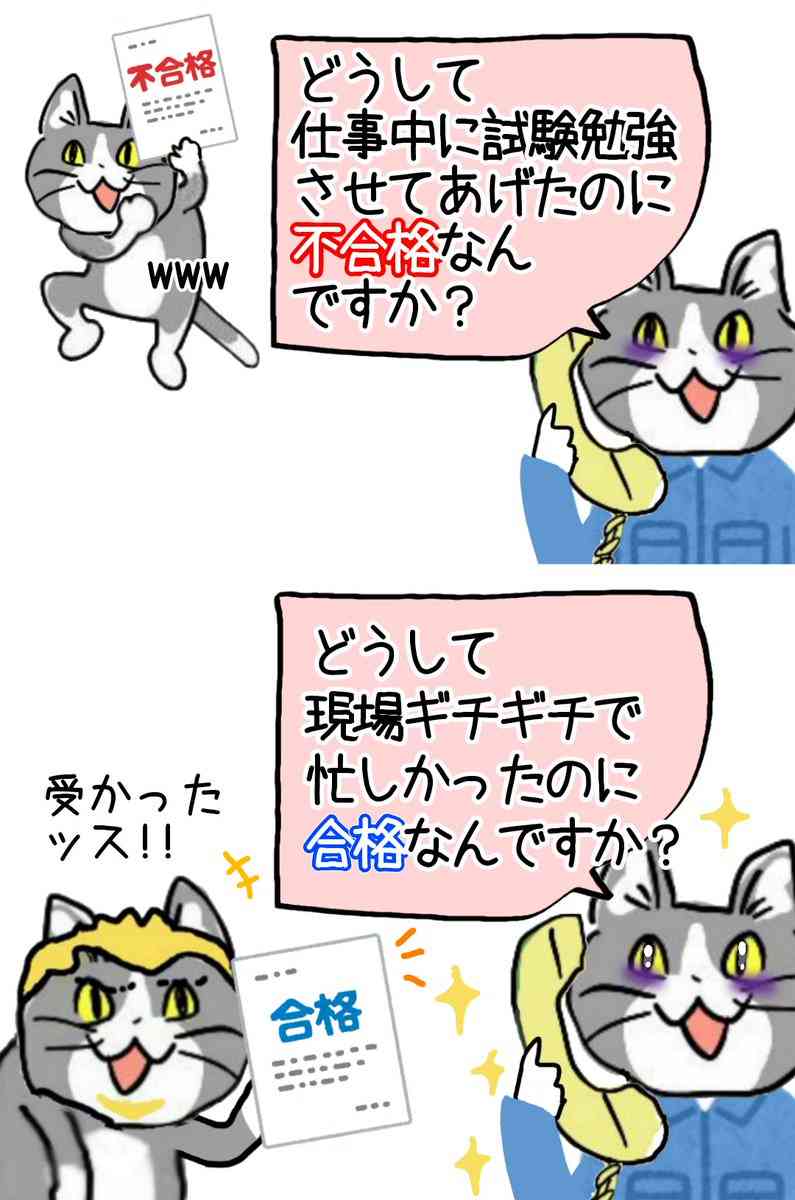 現場猫を見て癒されたい!Part6