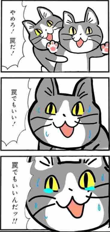 現場猫を見て癒されたい!Part6