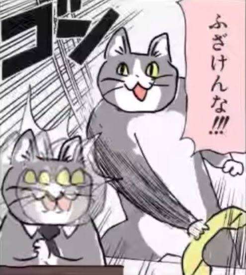 現場猫を見て癒されたい!Part6