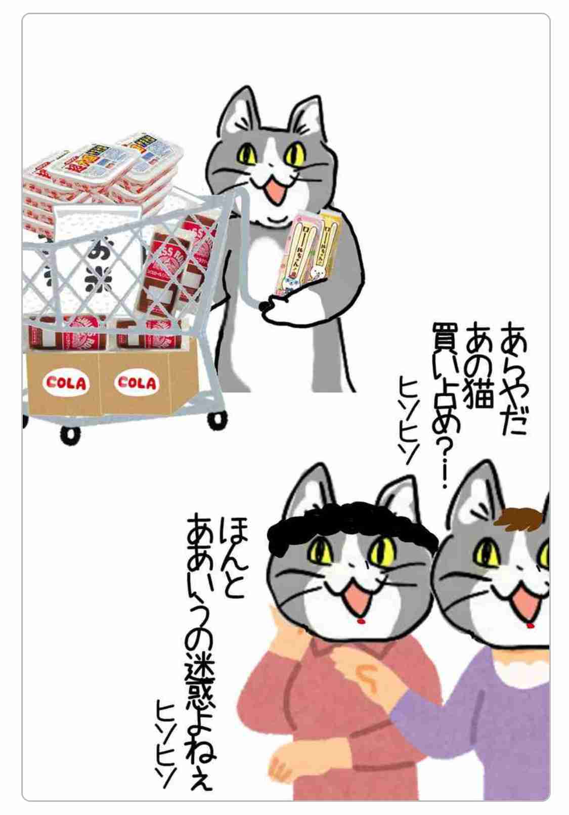 現場猫を見て癒されたい!Part6