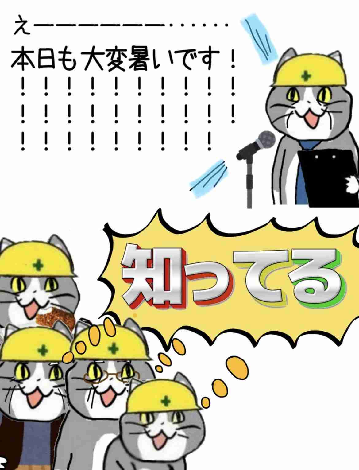 現場猫を見て癒されたい!Part6