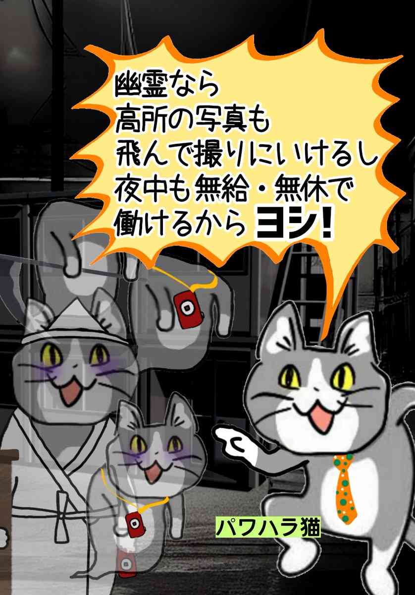 現場猫を見て癒されたい!Part6