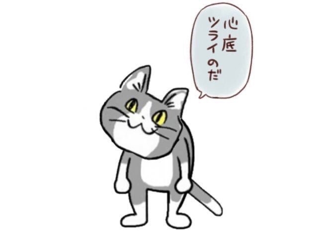 現場猫を見て癒されたい!Part6