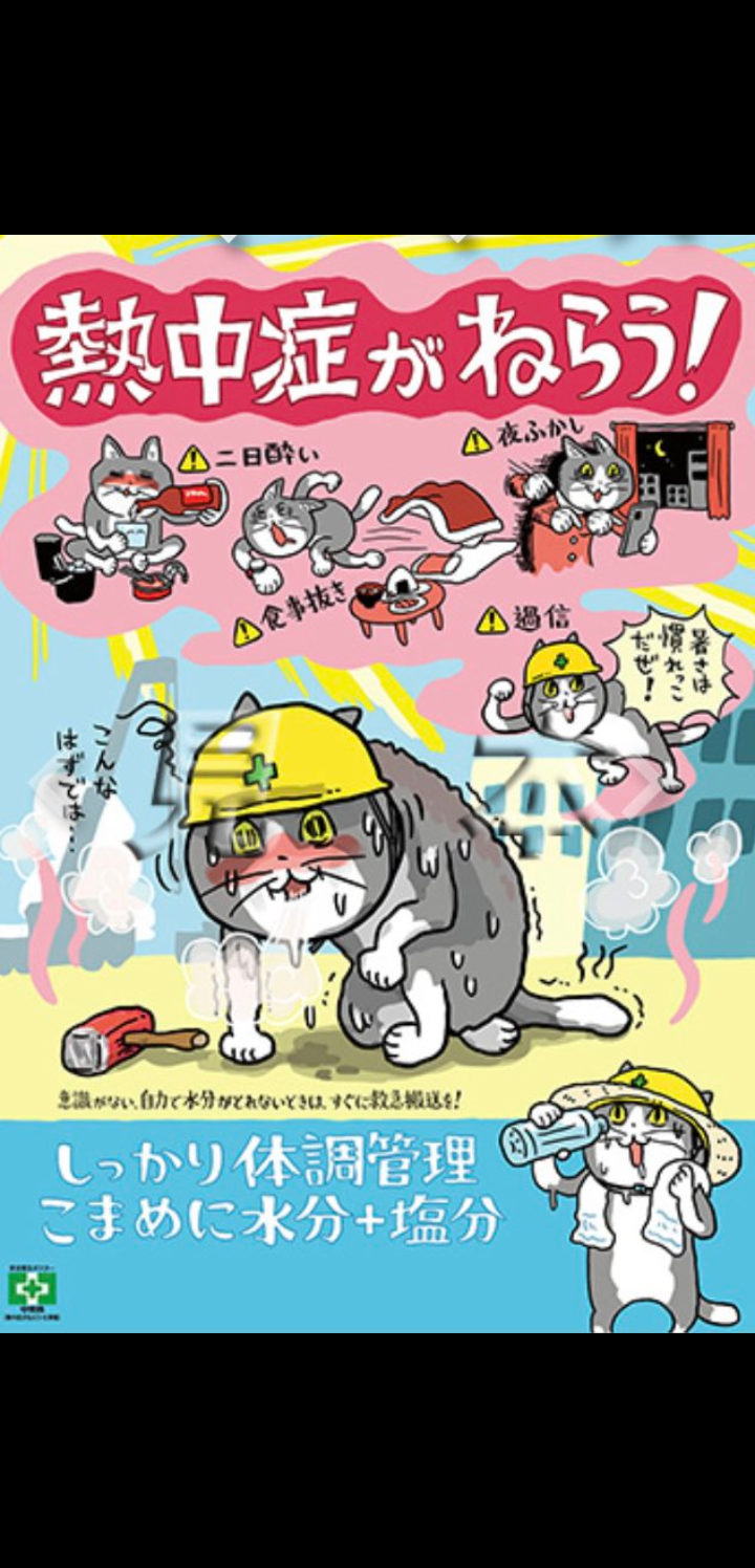 現場猫を見て癒されたい!Part6