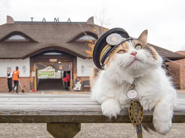 駅近物件のデメリット