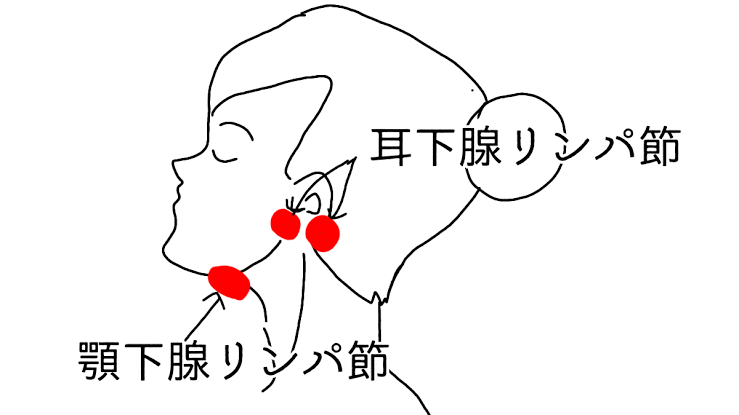 たばこは1日80本、体重は140キロ超えで不眠症…金正恩氏の健康状態を専門家が解説　“禁煙法”制定も「自分は特別な存在」　　